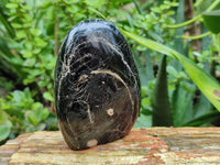 Polished Schorl Black Tourmaline Standing Free Forms x 3 From Madagascar - Toprock Gemstones and Minerals 