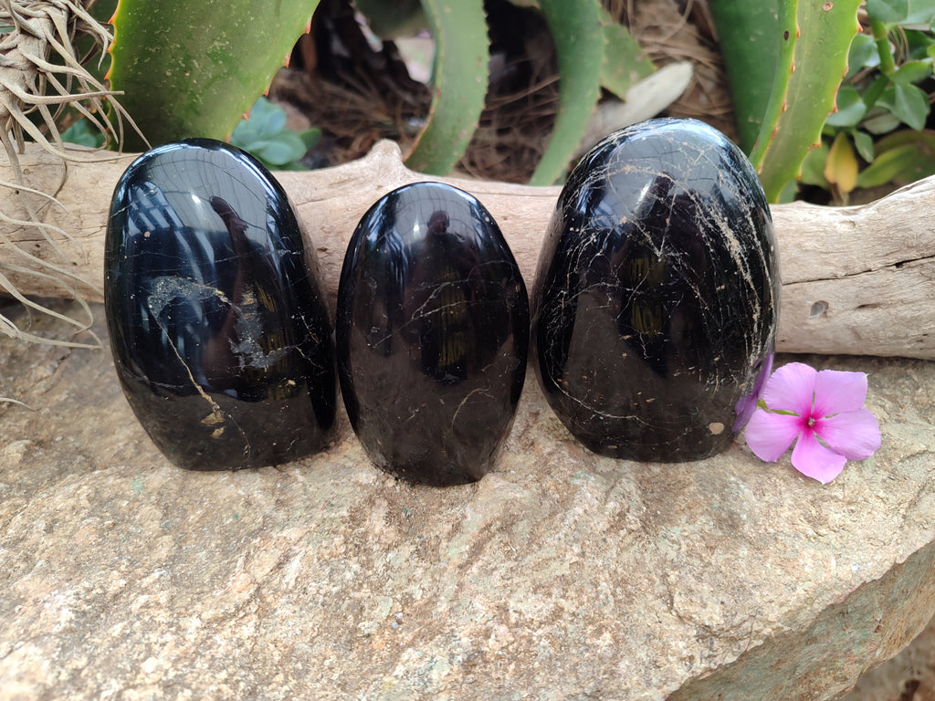 Polished Schorl Black Tourmaline Standing Free Forms x 3 From Madagascar - Toprock Gemstones and Minerals 