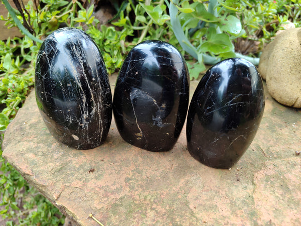 Polished Schorl Black Tourmaline Standing Free Forms x 3 From Madagascar - Toprock Gemstones and Minerals 