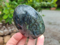 Polished Labradorite Standing Free Forms x 6 From Tulear, Madagascar - Toprock Gemstones and Minerals 
