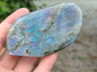 Polished Labradorite Standing Free Forms x 6 From Tulear, Madagascar - Toprock Gemstones and Minerals 