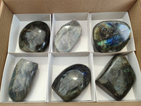 Polished Labradorite Standing Free Forms x 6 From Tulear, Madagascar - Toprock Gemstones and Minerals 