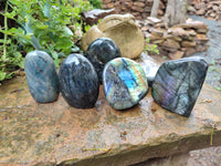 Polished Labradorite Standing Free Forms x 6 From Tulear, Madagascar - Toprock Gemstones and Minerals 