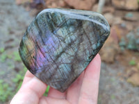 Polished Labradorite Standing Free Forms x 6 From Tulear, Madagascar - Toprock Gemstones and Minerals 