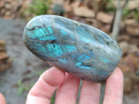 Polished Labradorite Standing Free Forms x 6 From Tulear, Madagascar - Toprock Gemstones and Minerals 
