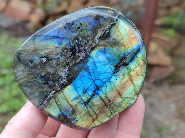 Polished Labradorite Standing Free Forms x 6 From Tulear, Madagascar - Toprock Gemstones and Minerals 