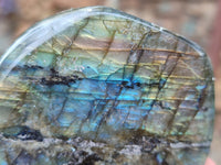 Polished Labradorite Standing Free Forms x 6 From Tulear, Madagascar - Toprock Gemstones and Minerals 