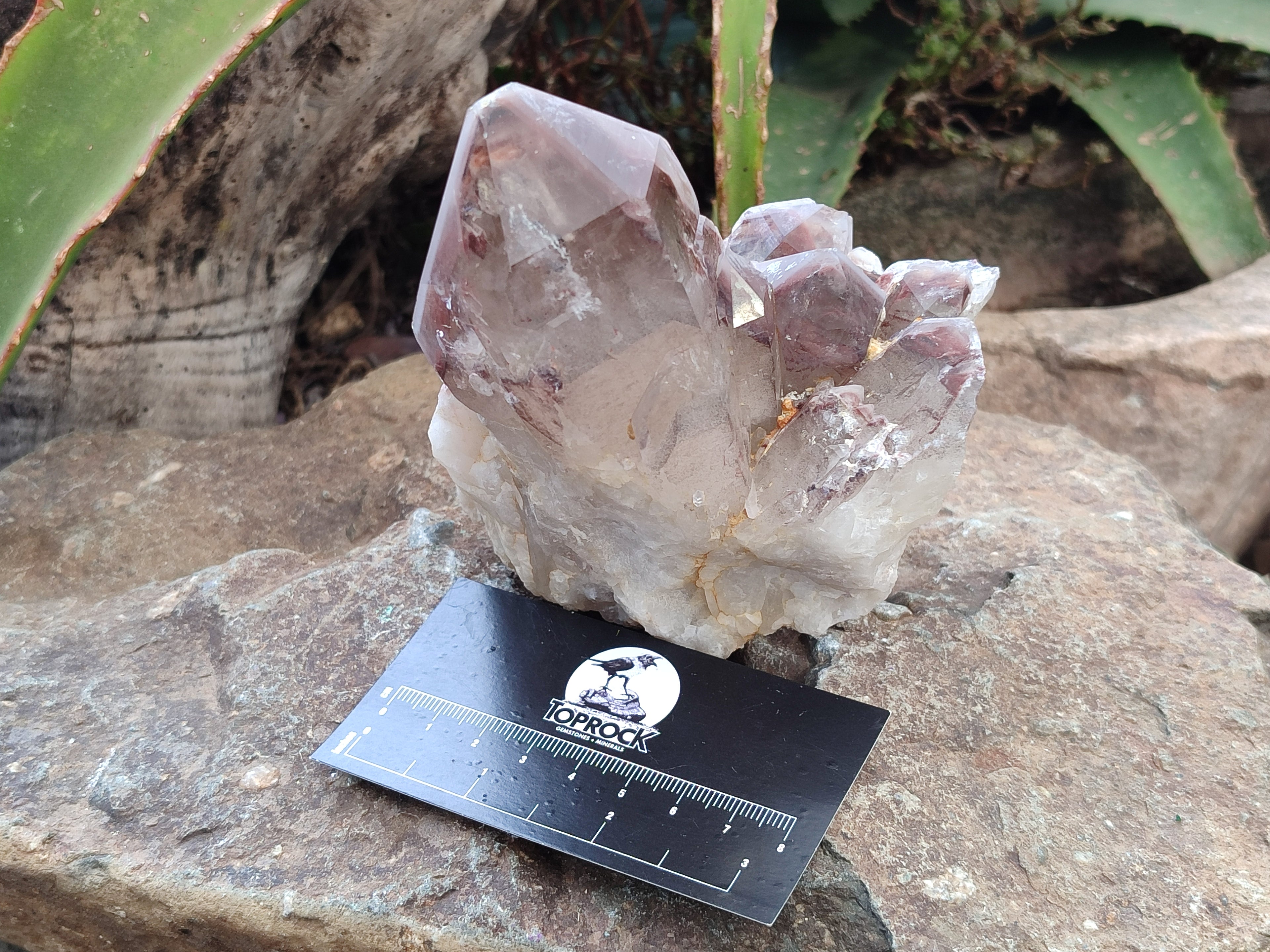 Natural Red Hematoid Quartz Clusters x 2 From Karoi, Zimbabwe - Toprock Gemstones and Minerals 