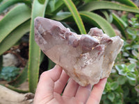Natural Red Hematoid Quartz Clusters x 2 From Karoi, Zimbabwe - Toprock Gemstones and Minerals 