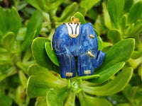 Polished Sodalite Elephant Pendant with Gold Bail and Trim - Sold Per Item - From Namibia