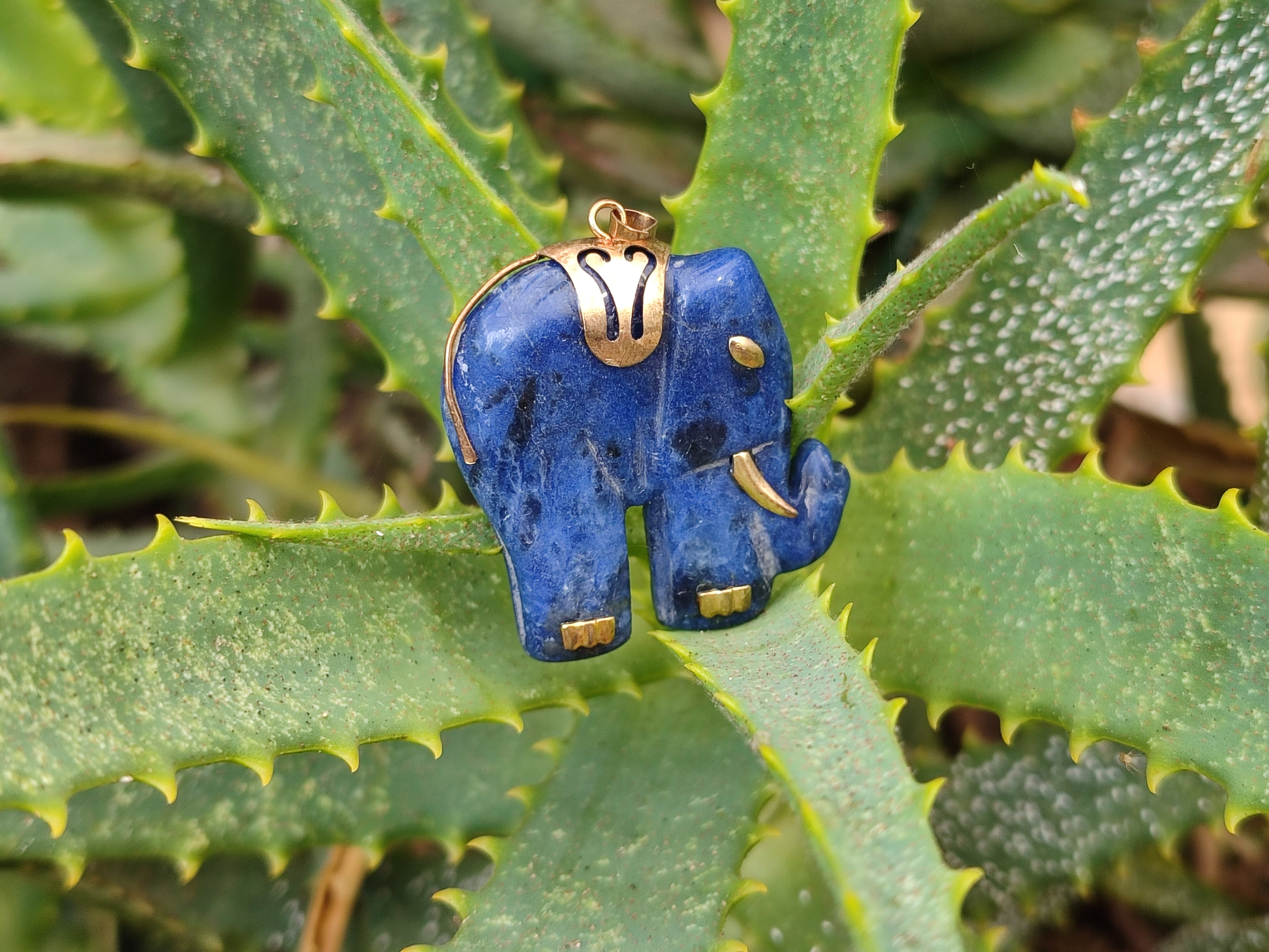 Polished Sodalite Elephant Pendant with Gold Bail and Trim - Sold Per Item - From Namibia - Toprock Gemstones and Minerals 