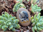 Polished Polychrome Jasper Pendant with Hand Painted Rhino - sold per item - From Madagascar - Toprock Gemstones and Minerals 