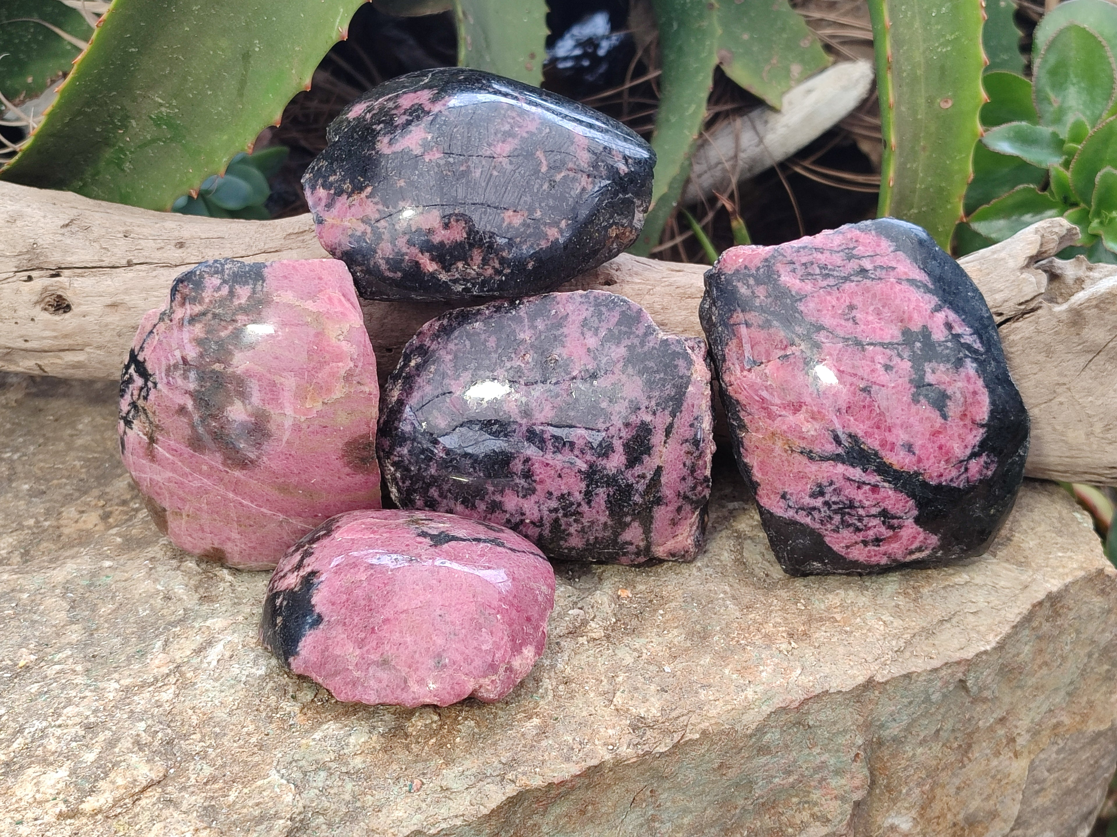 Polished on One Side Rhodonite Nodules x 5 From Ambindavato, Madagascar - Toprock Gemstones and Minerals 