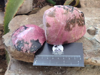 Polished on One Side Rhodonite Nodules x 5 From Ambindavato, Madagascar - Toprock Gemstones and Minerals 