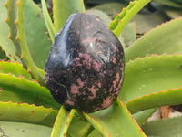 Polished on One Side Rhodonite Nodules x 5 From Ambindavato, Madagascar - Toprock Gemstones and Minerals 