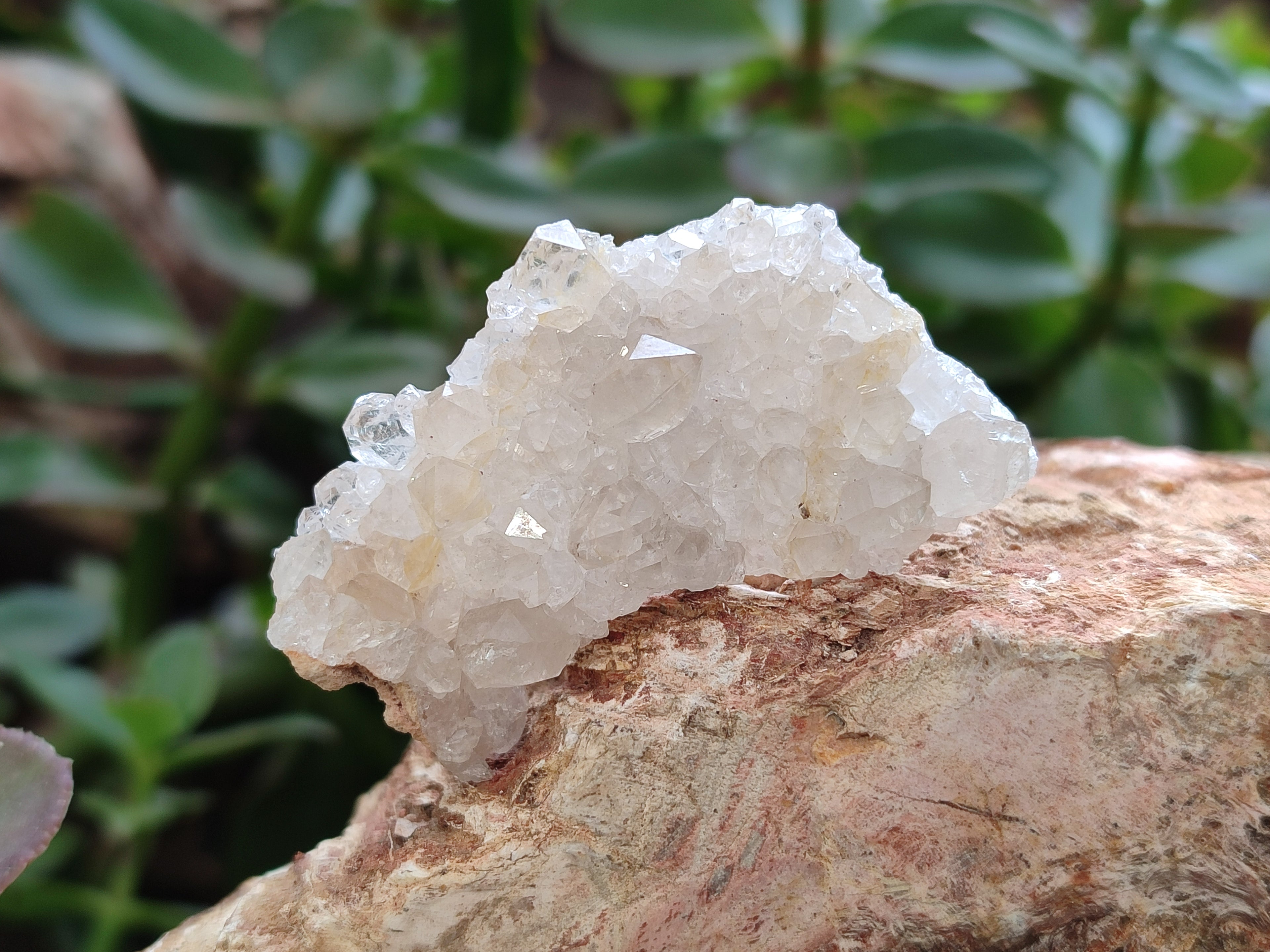 Natural Limonite Quartz Clusters x 35 From Solwezi, Zambia - Toprock Gemstones and Minerals 