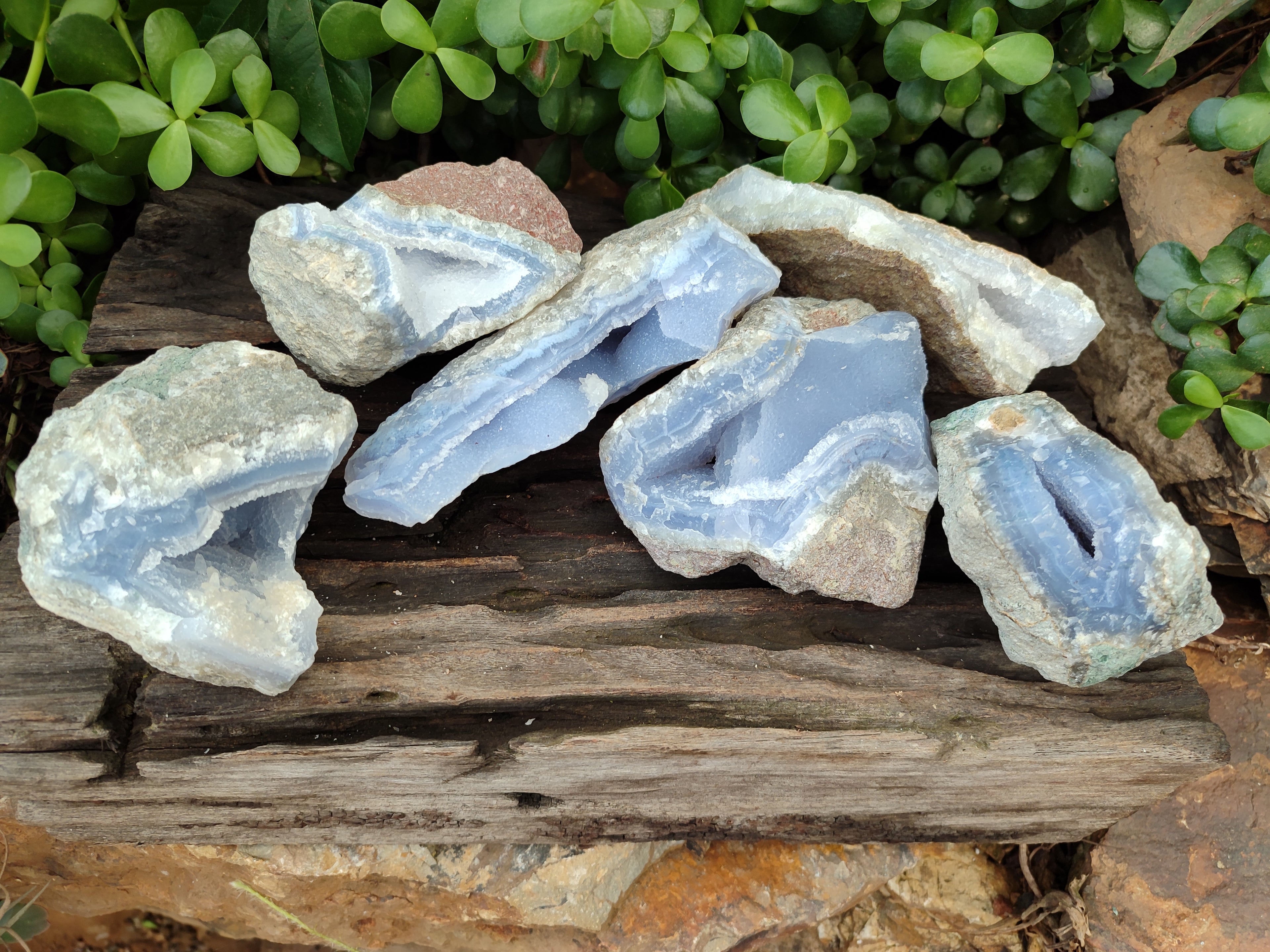 Natural Blue Lace Agate Geode Specimens x 6 From Malawi - Toprock Gemstones and Minerals 