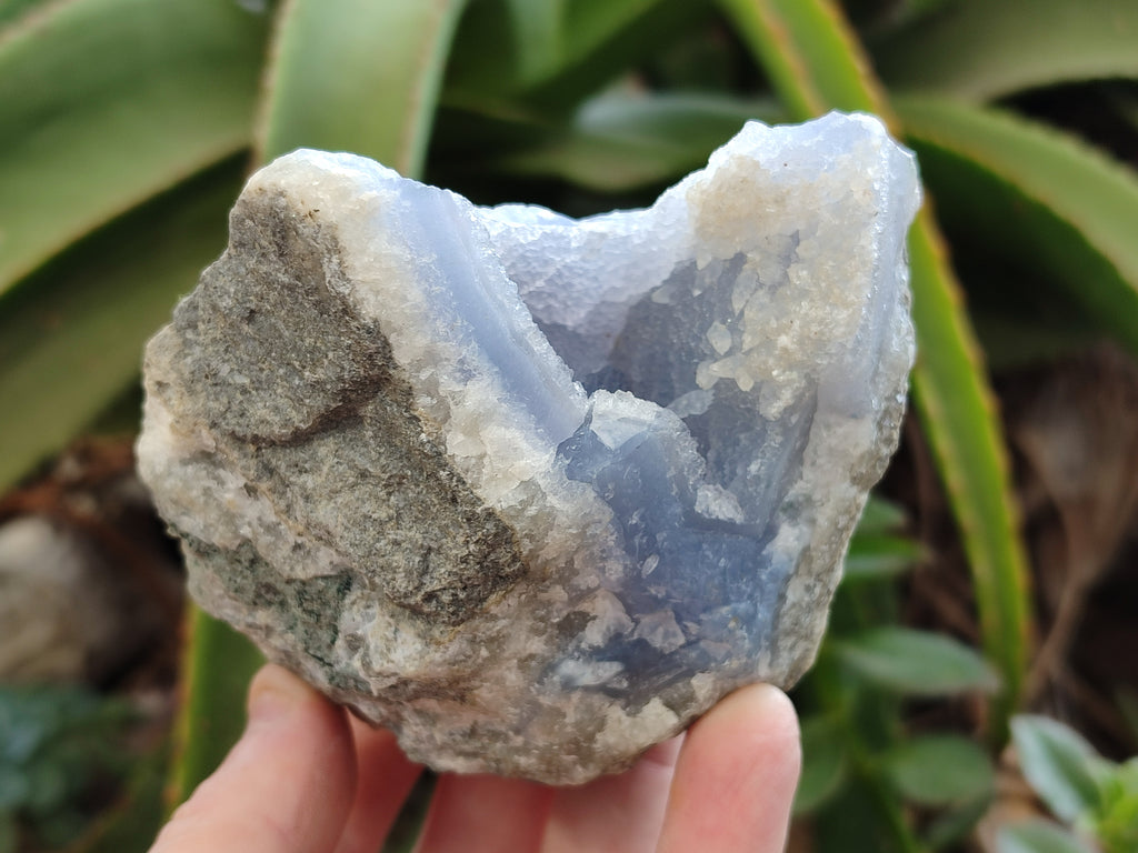 Natural Blue Lace Agate Geode Specimens x 6 From Malawi - Toprock Gemstones and Minerals 