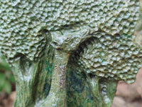 Hand Made Green Verdite Giraffe Carving x 1 From Zimbabwe - Toprock Gemstones and Minerals 