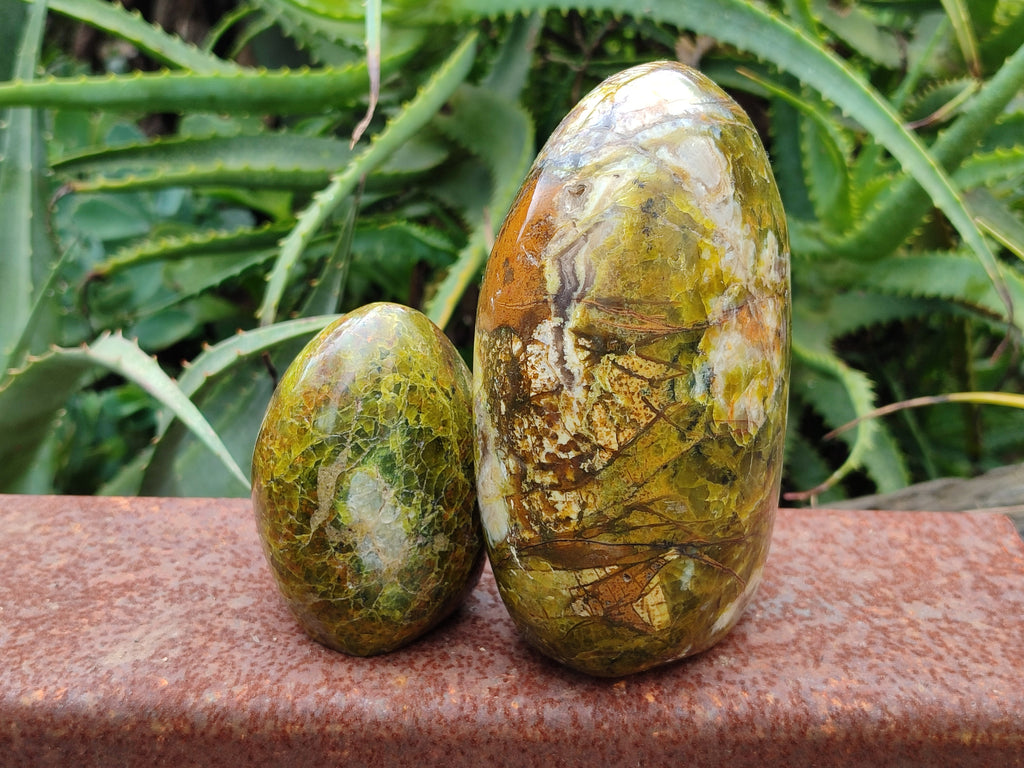 Polished Green Opal Standing Free Forms x 2 From Antsirabe, Madagascar - Toprock Gemstones and Minerals 
