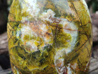 Polished Green Opal Standing Free Forms x 2 From Antsirabe, Madagascar - Toprock Gemstones and Minerals 