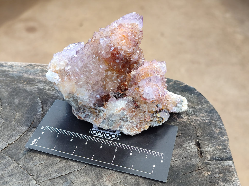 Natural Amethyst Spirit Quartz Clusters x 6 From Boekenhouthoek, South Africa - Toprock Gemstones and Minerals 