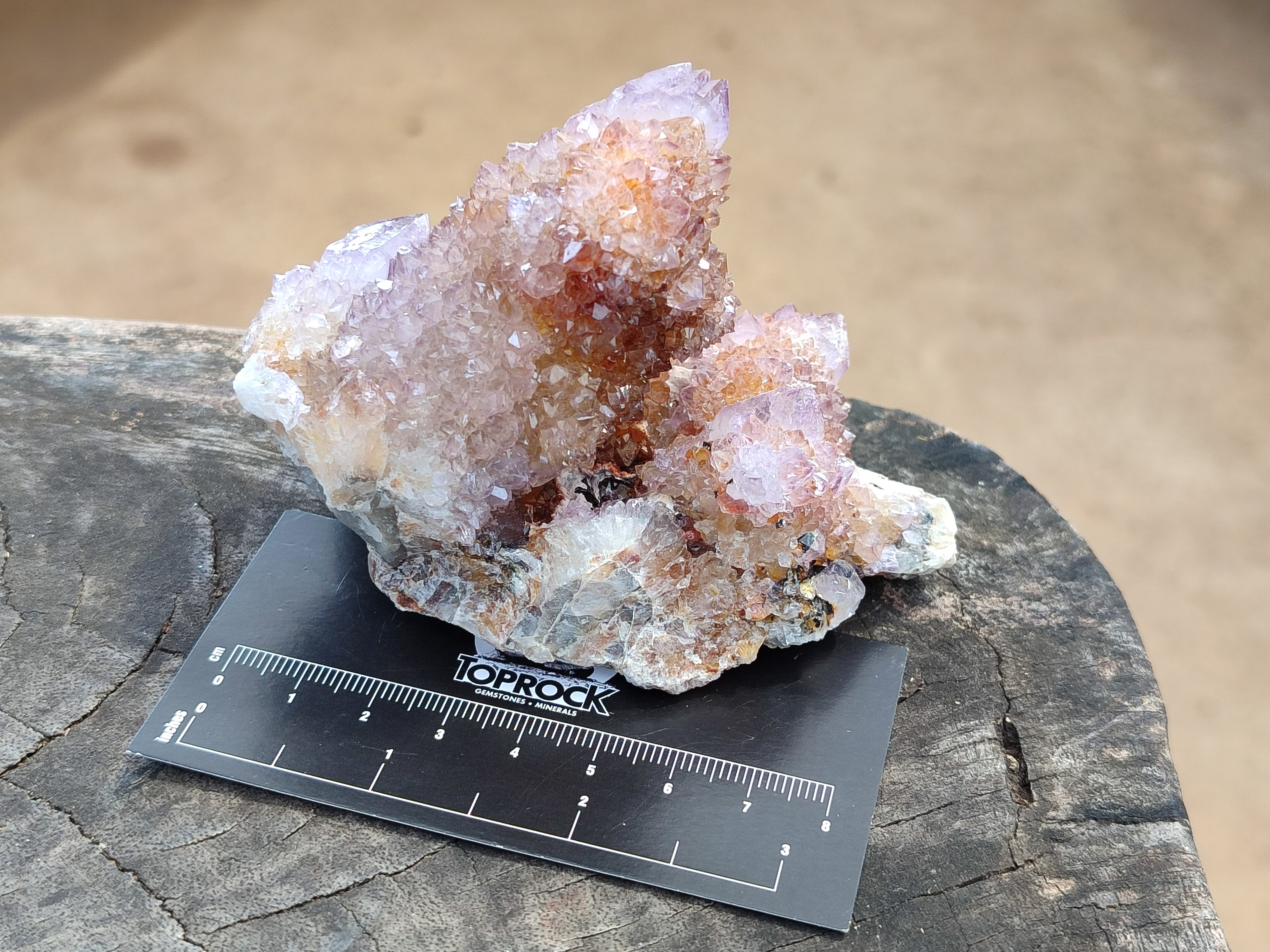 Natural Amethyst Spirit Quartz Clusters x 6 From Boekenhouthoek, South Africa - Toprock Gemstones and Minerals 