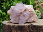 Natural Amethyst Spirit Quartz Clusters x 6 From Boekenhouthoek, South Africa - Toprock Gemstones and Minerals 