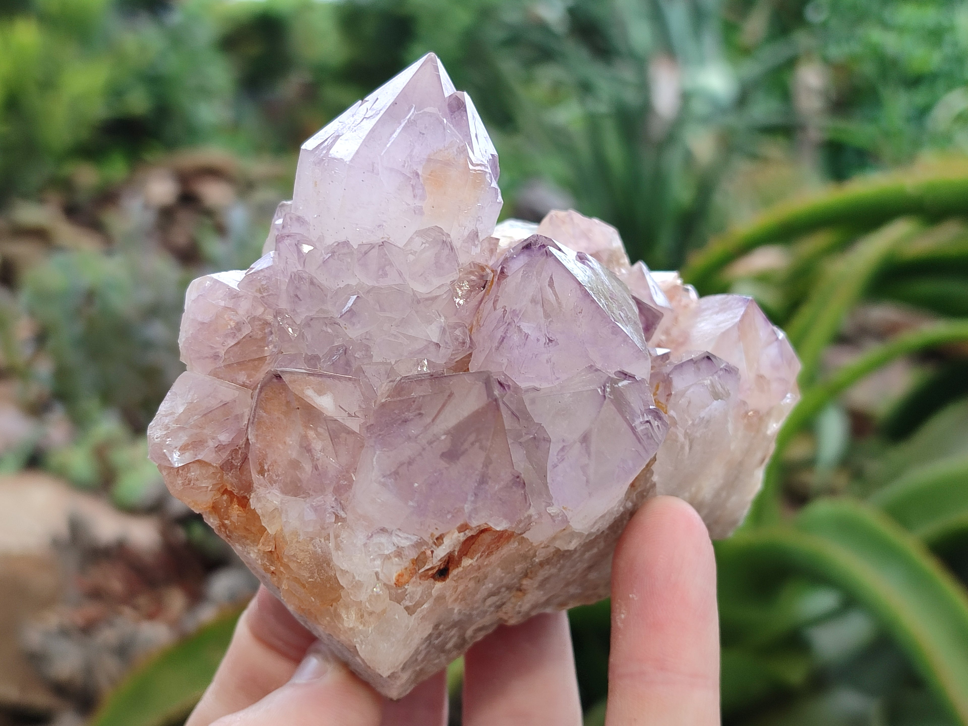 Natural Amethyst Spirit Quartz Clusters x 6 From Boekenhouthoek, South Africa - Toprock Gemstones and Minerals 