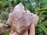 Natural Amethyst Spirit Quartz Clusters x 6 From Boekenhouthoek, South Africa
