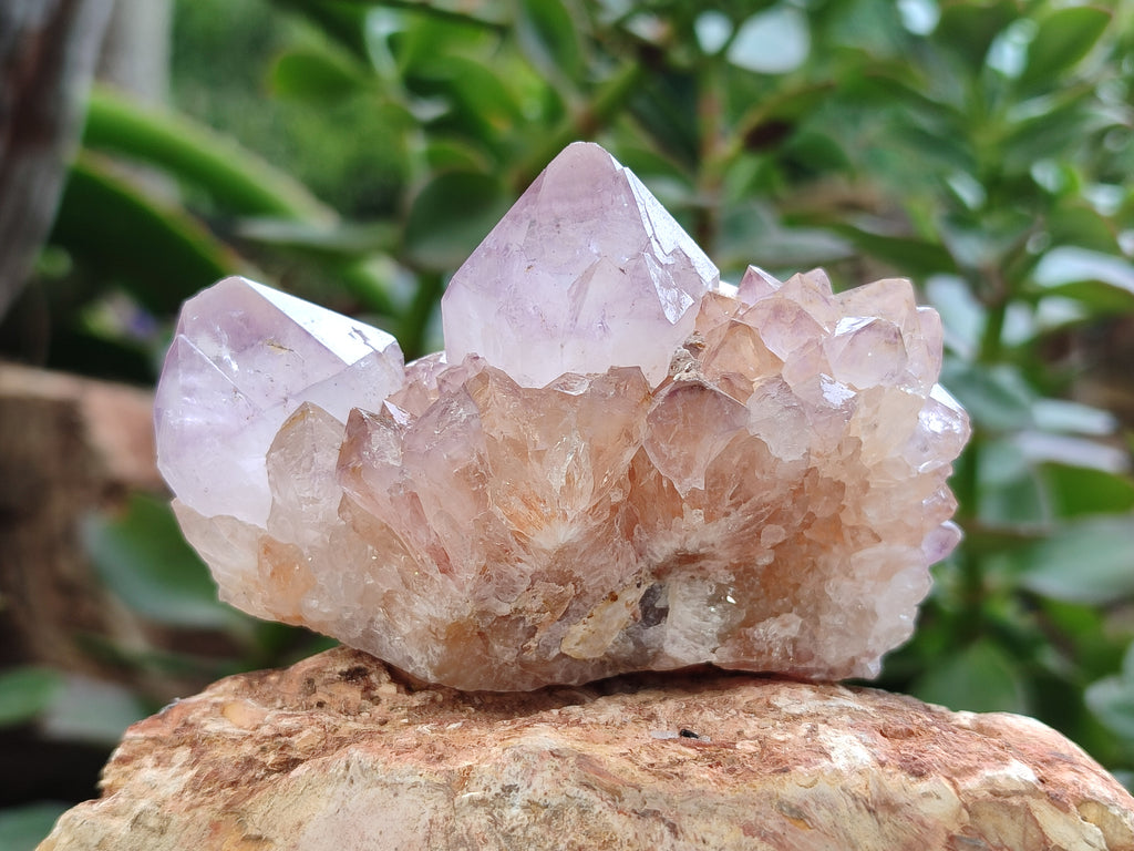 Natural Amethyst Spirit Quartz Clusters x 6 From Boekenhouthoek, South Africa - Toprock Gemstones and Minerals 