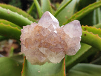 Natural Amethyst Spirit Quartz Clusters x 6 From Boekenhouthoek, South Africa