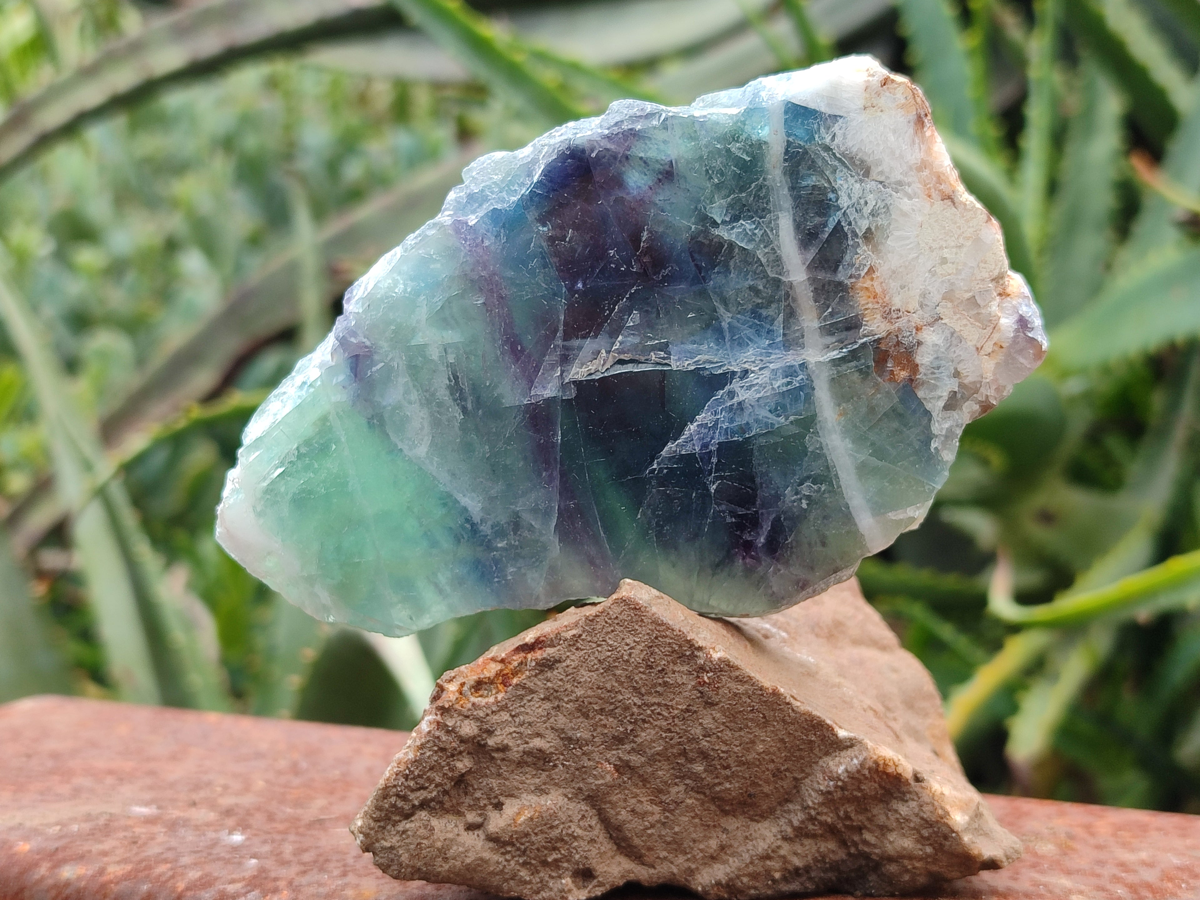 Polished On One Side Watermelon Fluorite x 6 From Uis, Namibia - Toprock Gemstones and Minerals 