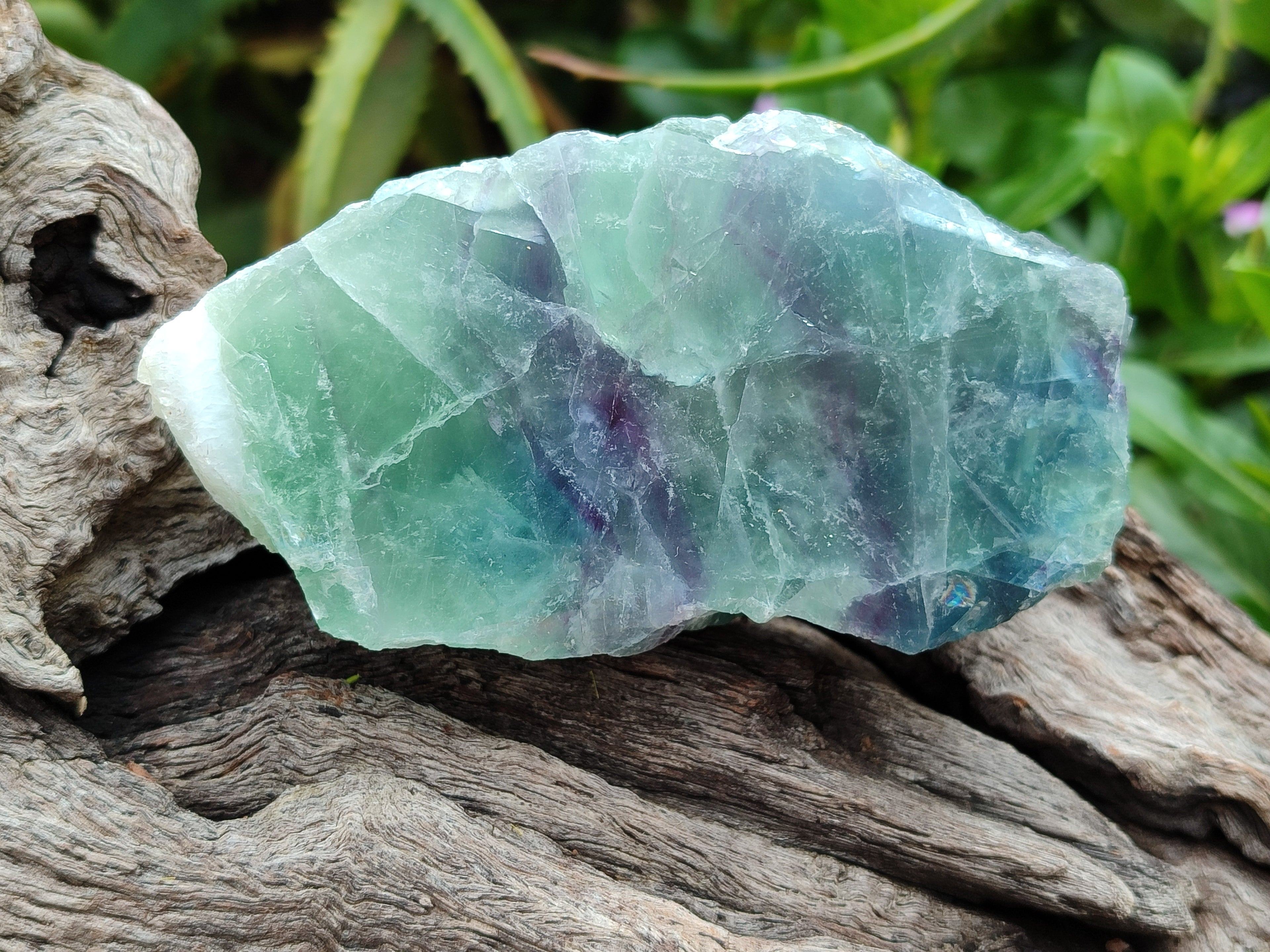 Polished On One Side Watermelon Fluorite x 6 From Uis, Namibia - Toprock Gemstones and Minerals 