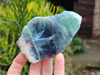 Polished On One Side Watermelon Fluorite x 6 From Uis, Namibia - Toprock Gemstones and Minerals 