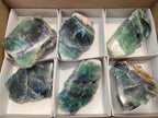 Polished On One Side Watermelon Fluorite x 6 From Uis, Namibia - Toprock Gemstones and Minerals 