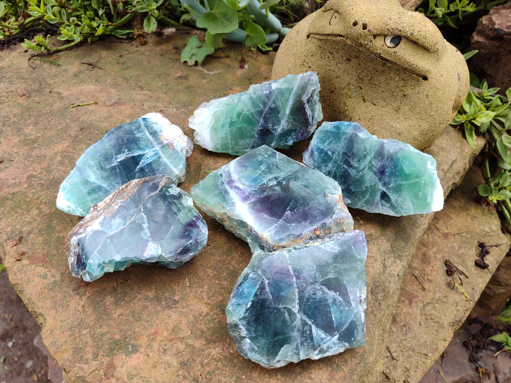 Polished On One Side Watermelon Fluorite x 6 From Uis, Namibia - Toprock Gemstones and Minerals 