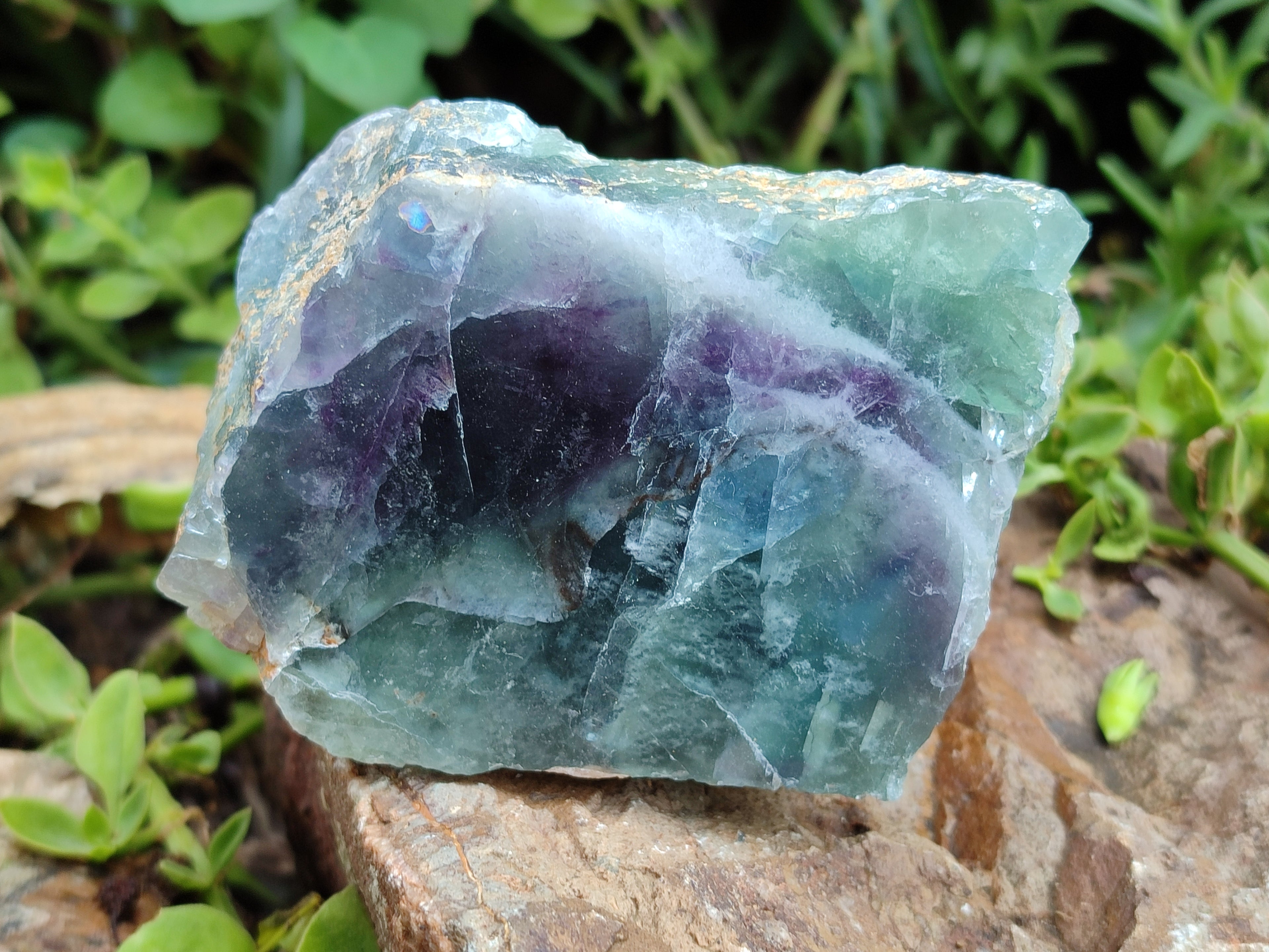 Polished On One Side Watermelon Fluorite x 6 From Uis, Namibia - Toprock Gemstones and Minerals 
