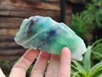 Polished On One Side Watermelon Fluorite x 6 From Uis, Namibia - Toprock Gemstones and Minerals 