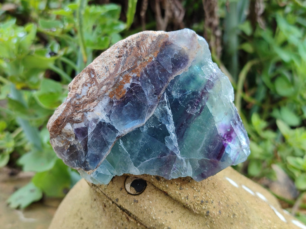 Polished On One Side Watermelon Fluorite x 6 From Uis, Namibia - Toprock Gemstones and Minerals 