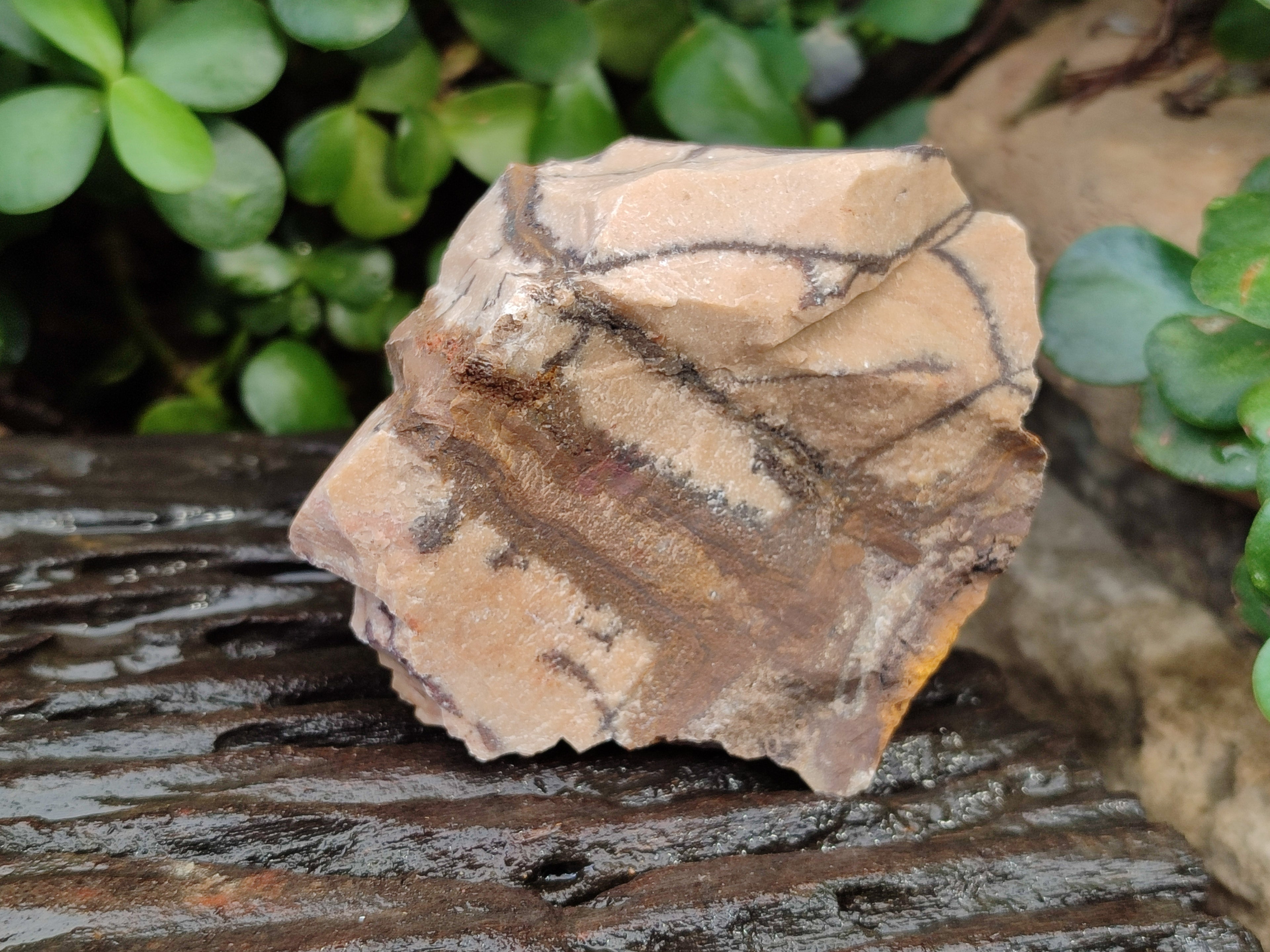 Natural Nguni Jasper Cobbed Specimens x 12 From Prieska, South Africa - Toprock Gemstones and Minerals 