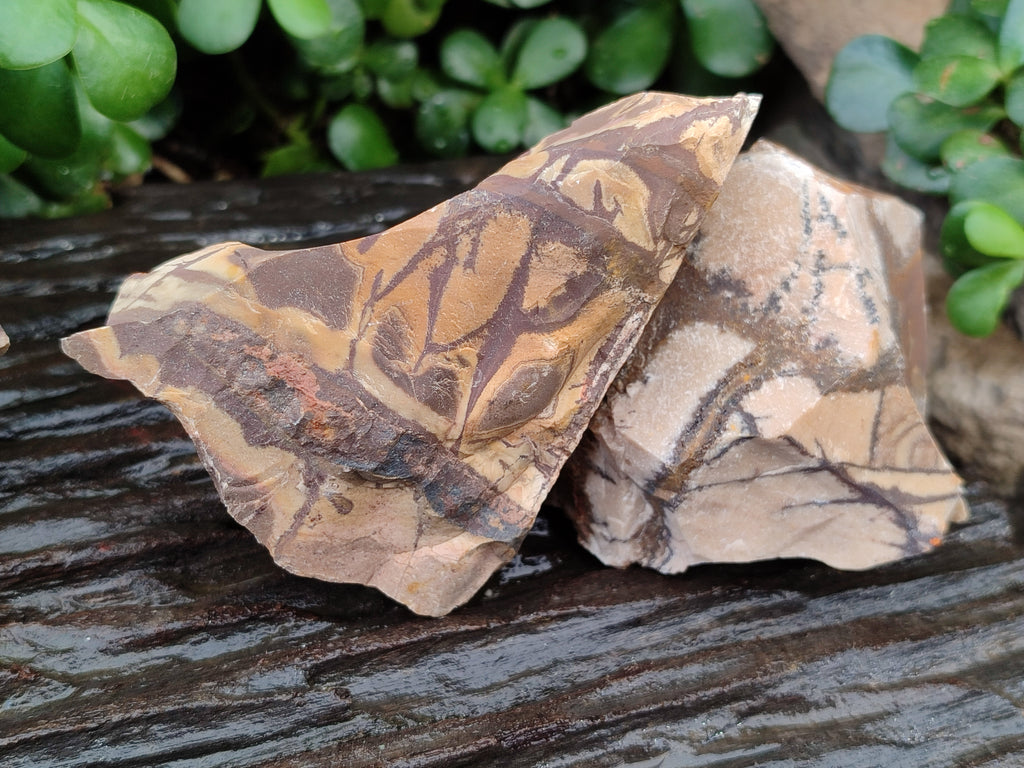 Natural Nguni Jasper Cobbed Specimens x 12 From Prieska, South Africa - Toprock Gemstones and Minerals 