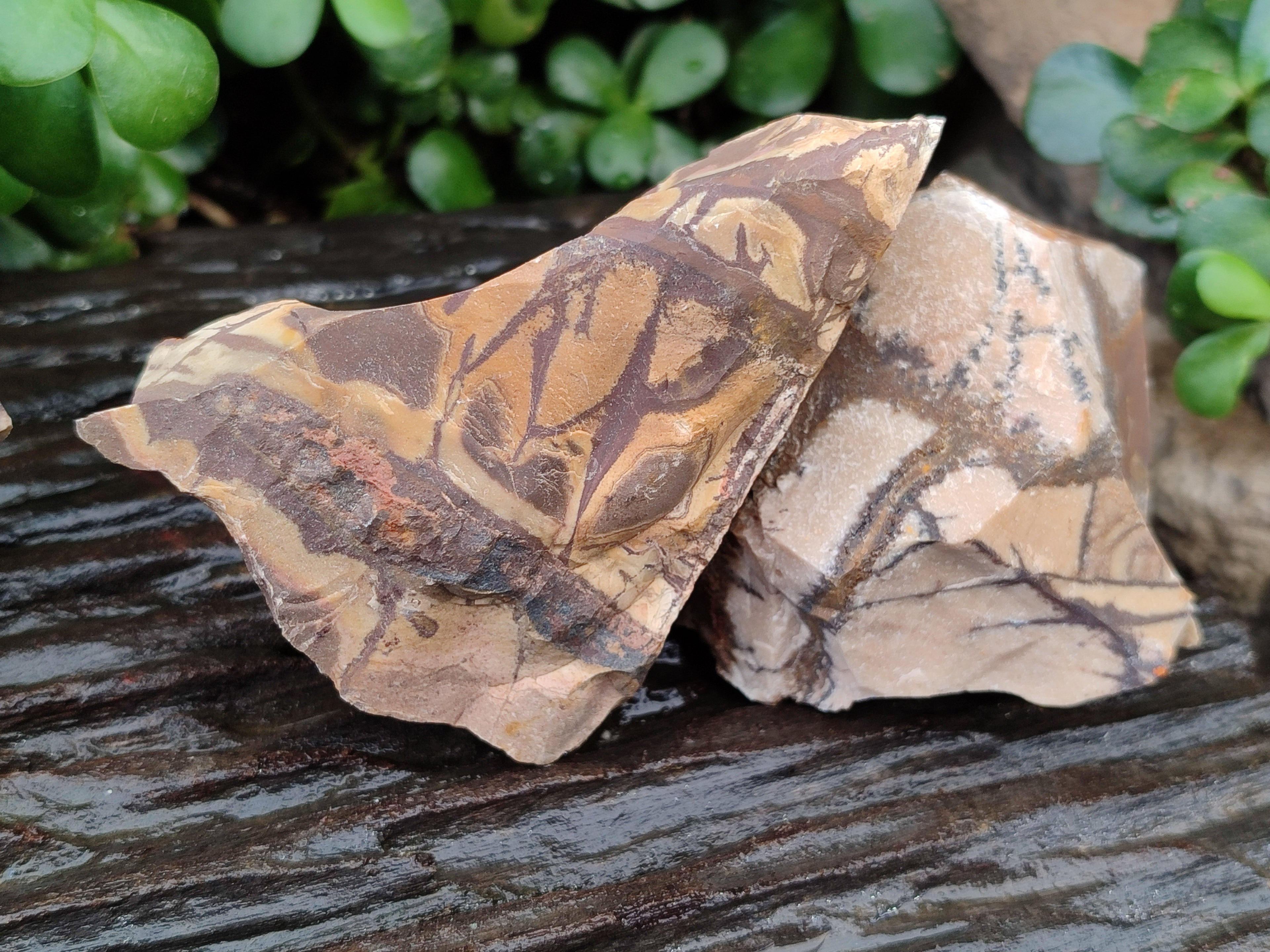 Natural Nguni Jasper Cobbed Specimens x 12 From Prieska, South Africa - Toprock Gemstones and Minerals 