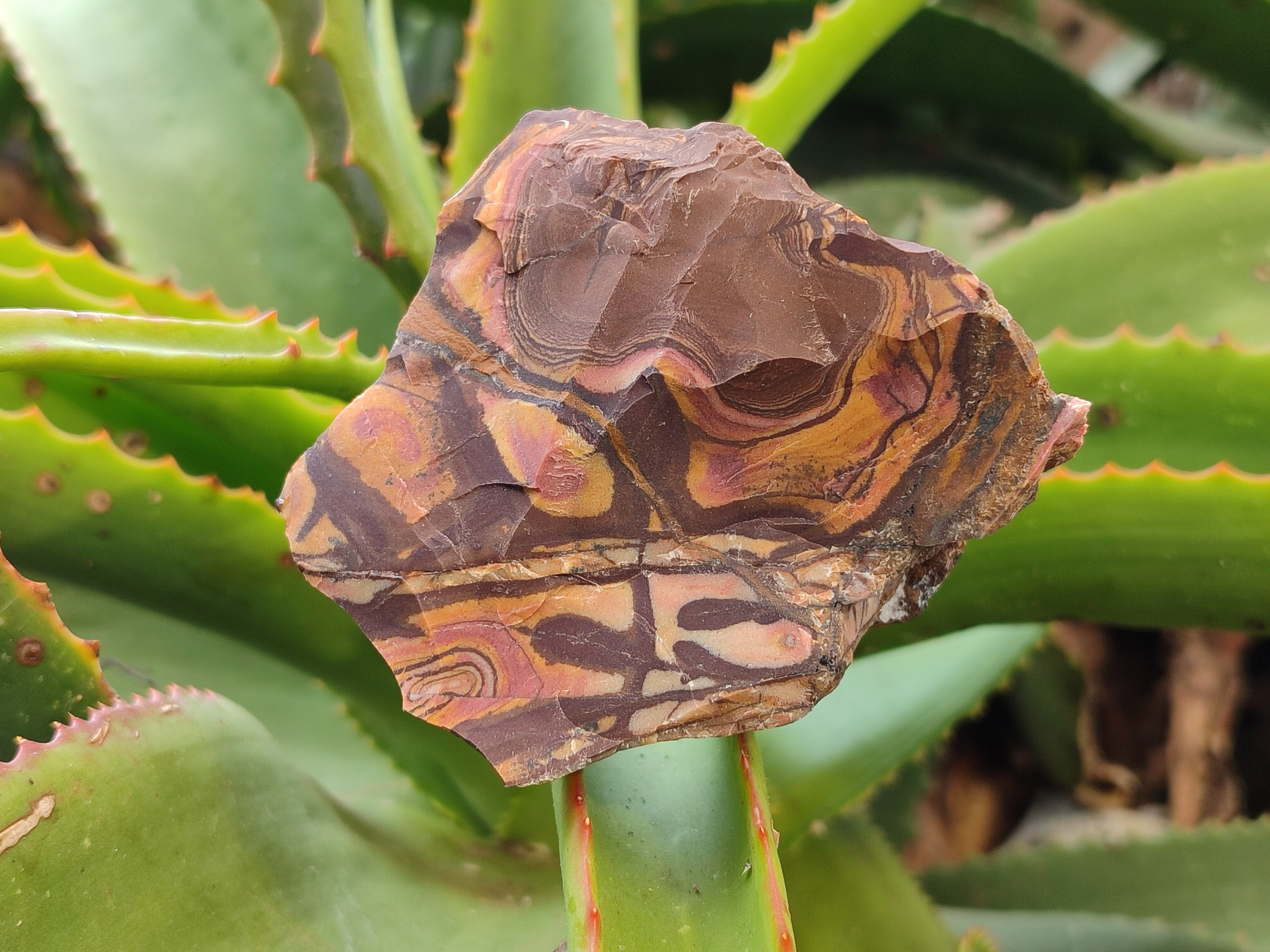 Natural Nguni Jasper Cobbed Specimens x 12 From Prieska, South Africa - Toprock Gemstones and Minerals 