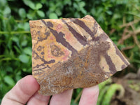 Natural Nguni Jasper Cobbed Specimens x 12 From Prieska, South Africa - Toprock Gemstones and Minerals 