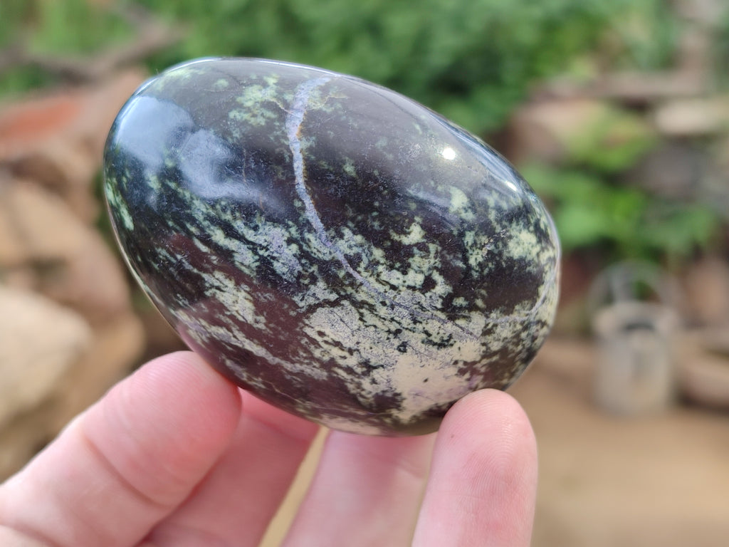 Polished Leopard Stone Free Forms x 12 From Zimbabwe - Toprock Gemstones and Minerals 
