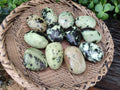 Polished Leopard Stone Free Forms x 12 From Zimbabwe - Toprock Gemstones and Minerals 