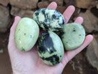 Polished Leopard Stone Free Forms x 12 From Zimbabwe - Toprock Gemstones and Minerals 