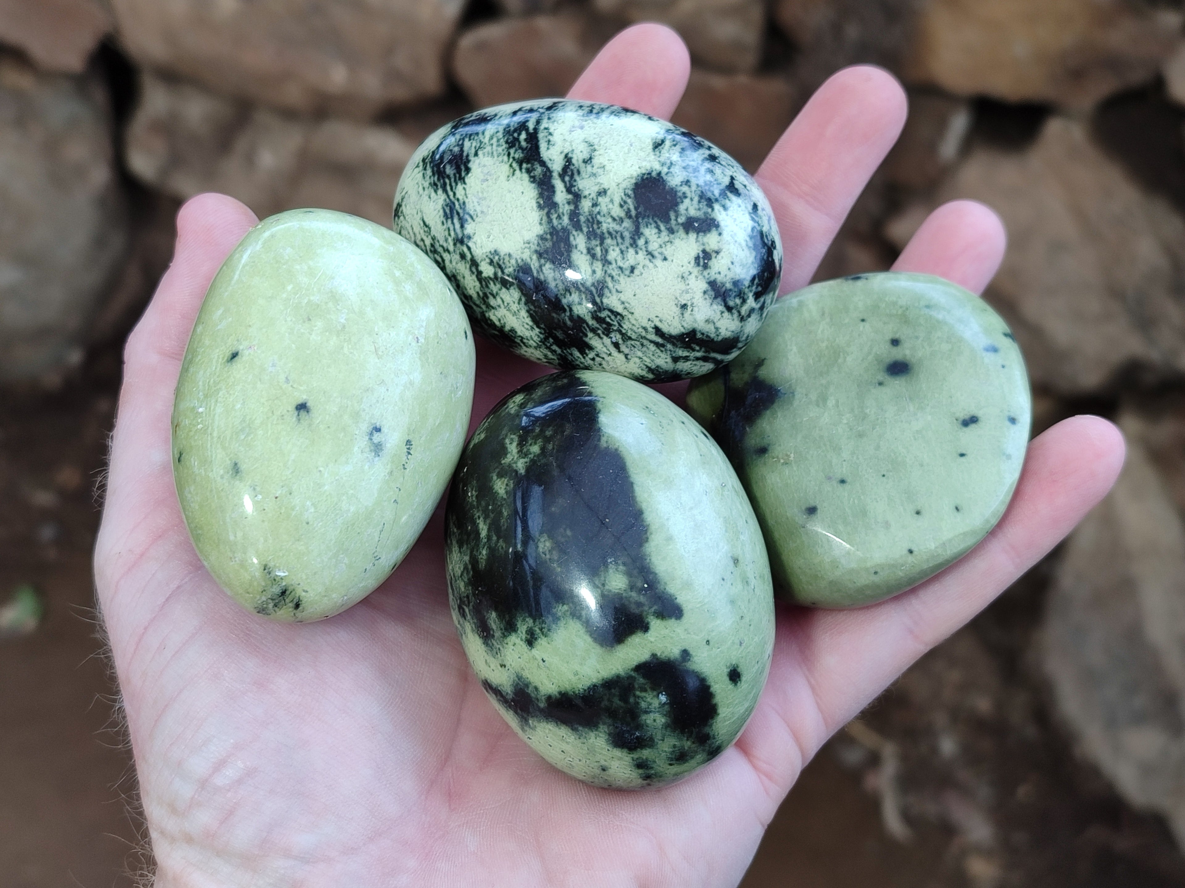 Polished Leopard Stone Free Forms x 12 From Zimbabwe - Toprock Gemstones and Minerals 
