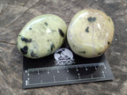 Polished Leopard Stone Free Forms x 12 From Zimbabwe - Toprock Gemstones and Minerals 